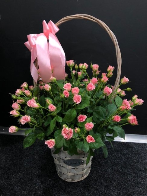 Корзина с кустовыми розами Спрей Одилия 25 роз