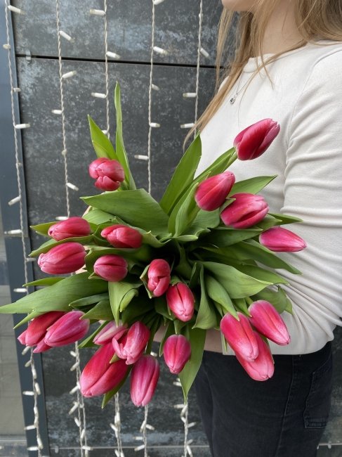 Тюльпан Малиново-розовый