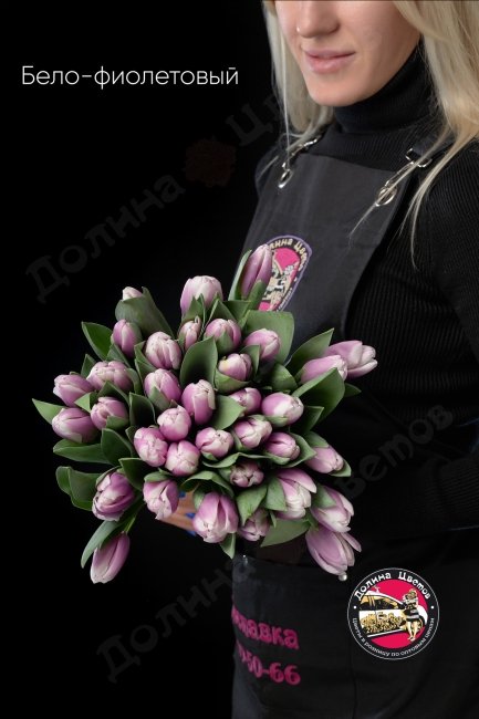 Тюльпан Бело-фиолетовый