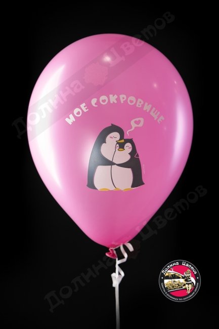 Шар Влюбленные пингвины.