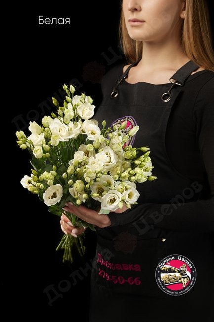 Эустома белая