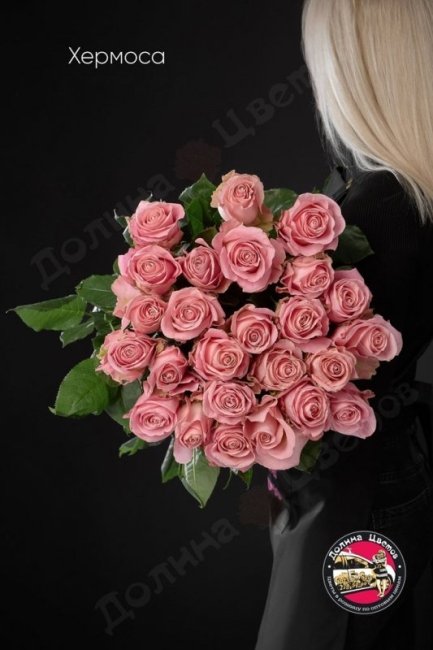Розы Хермоса  (высота  70см)
