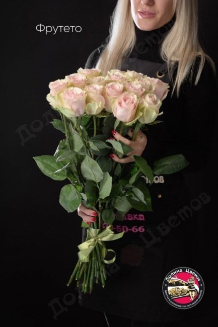 Розы Фрутето  (высота  80см)