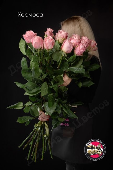 Розы Хермоса  (высота  90см)