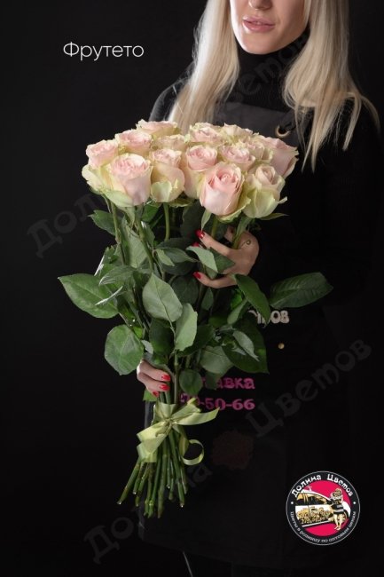 Розы Фрутето  (высота  60см)