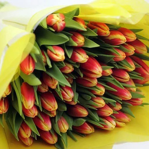 Букет из 301 тюльпана. красно-желтый