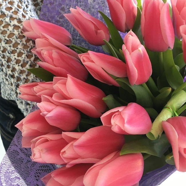 Букет из 25 тюльпанов. нежно-розовый