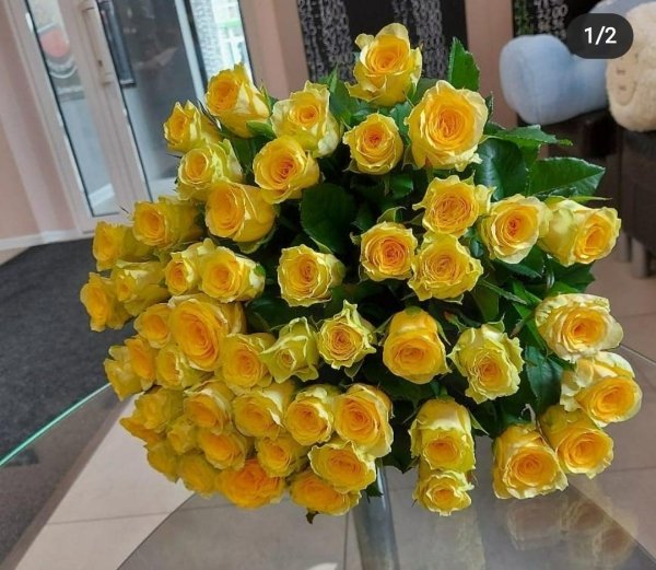 Роза Илиос (желтая). Букет из 51 розы. Высота 50 см