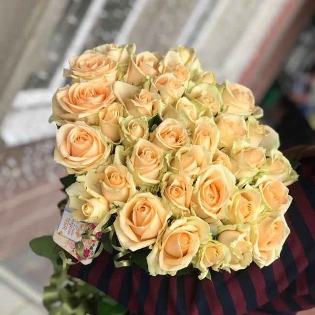 Роза Пич-Аваланж (персиковая). Букет из 35 роз. Высота 60 см