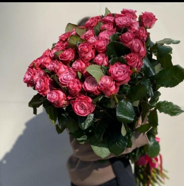 Роза Дип Вотер. Букет из 51 розы. Высота 40 см