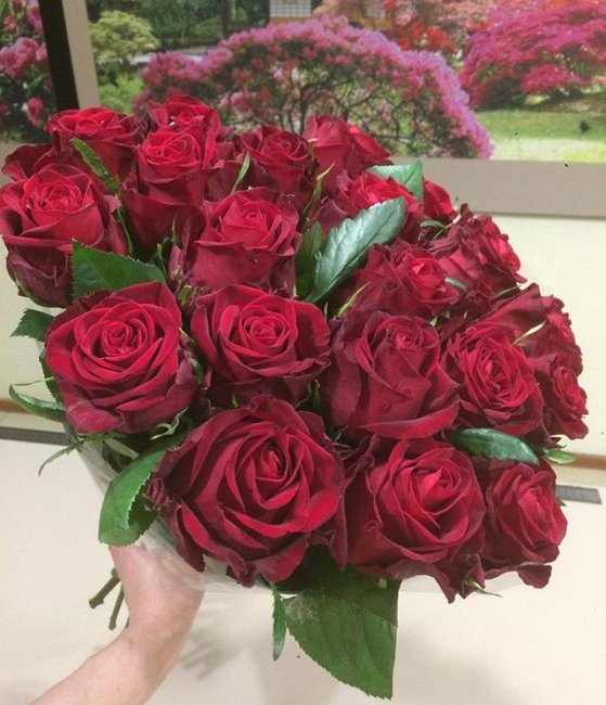 Роза Кон Аморе. Букет из 101 розы. Высота 50 см