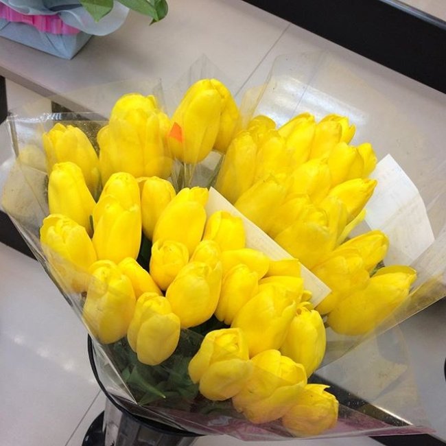 Букет из 201 тюльпана. желтый