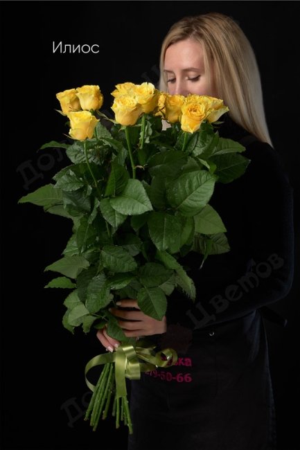 Букет из Розы Илиос  (высота  60см)