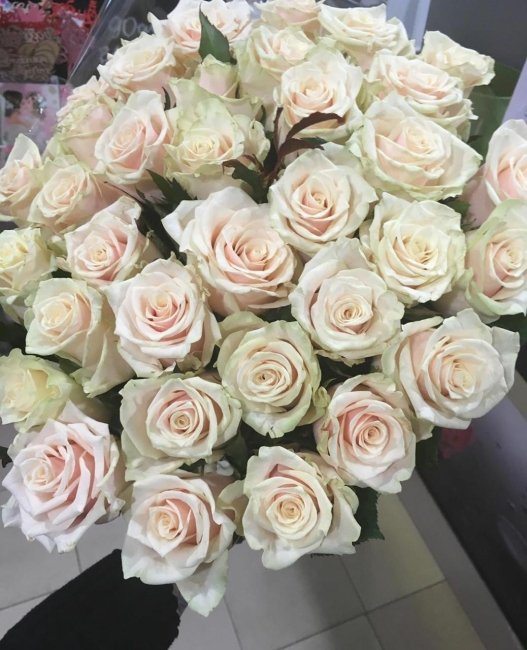 Роза Талея. Букет из 35 роз. Высота 40 см