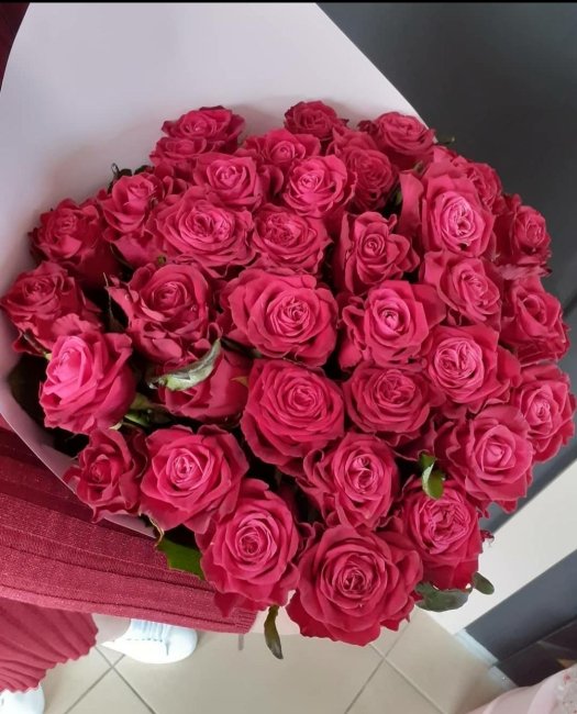 Роза Адмирал. Букет из 25 роз. Высота 40 см