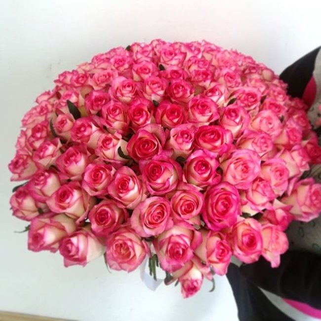 Роза Джумилия. Букет из 101 розы. Высота 60 см