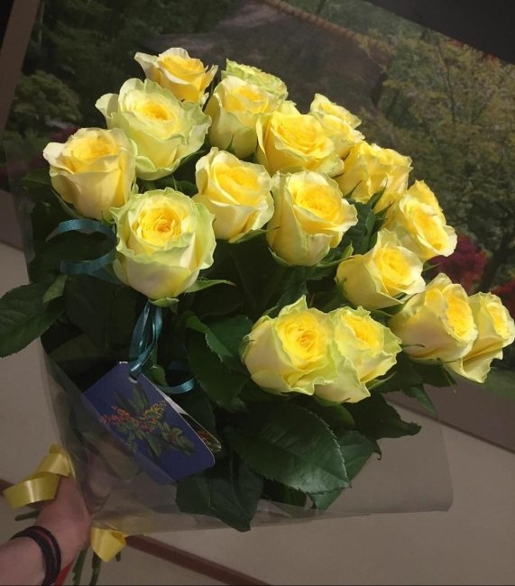 Роза Илиос (желтая). Букет из 21 розы. Высота 60 см