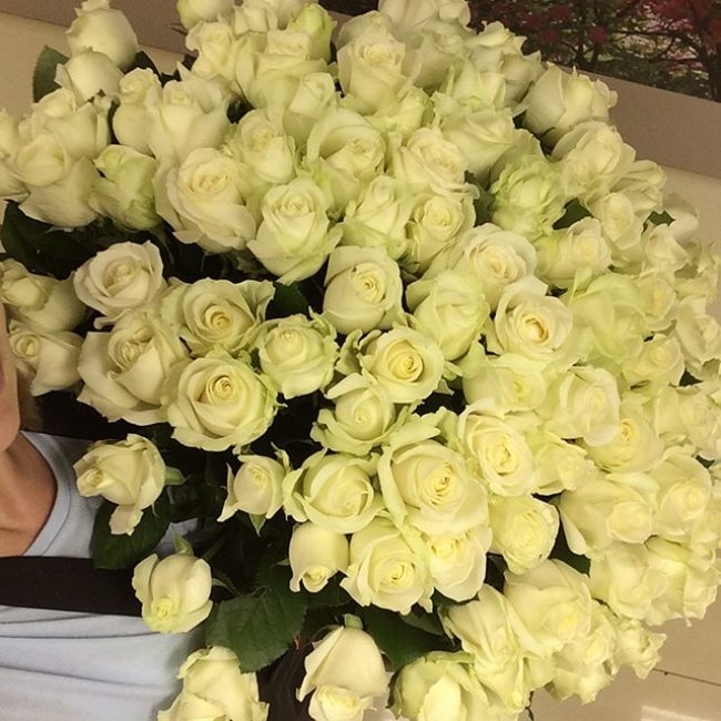 Роза Пич-Аваланж (персиковая). Букет из 101 розы. Высота 70 см