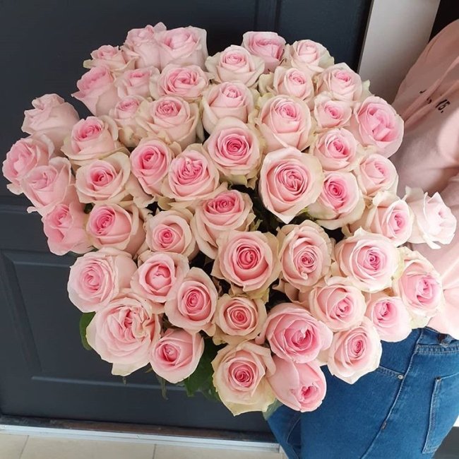 Роза Свит Ревиваль. Букет из 51 розы. Высота 60 см