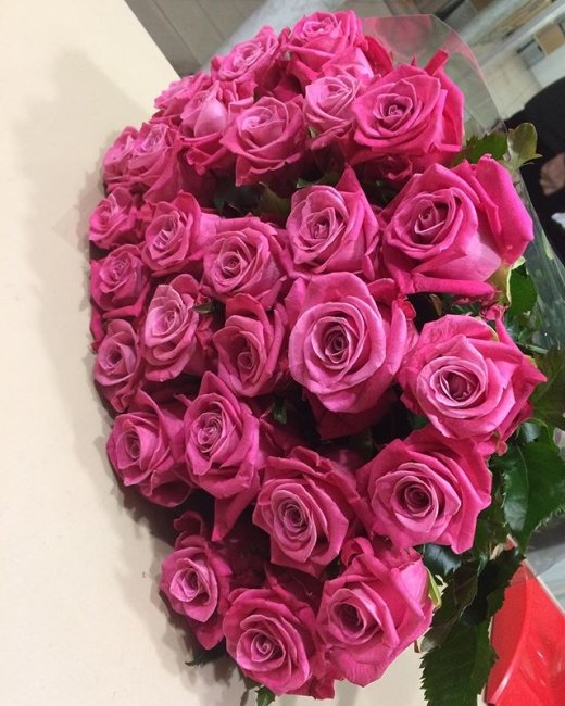 Роза Космик. Букет из 51 розы. Высота 60 см