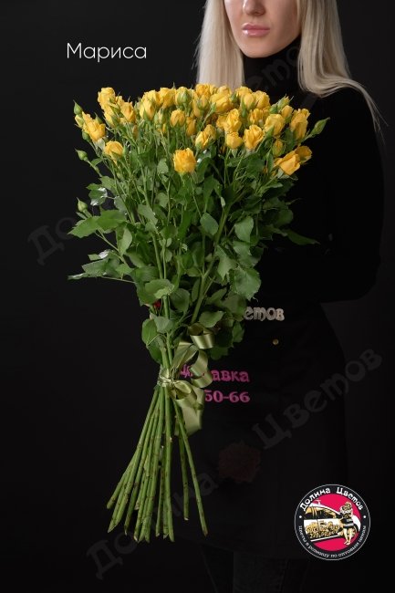 Розы Мариса  (высота  60см)