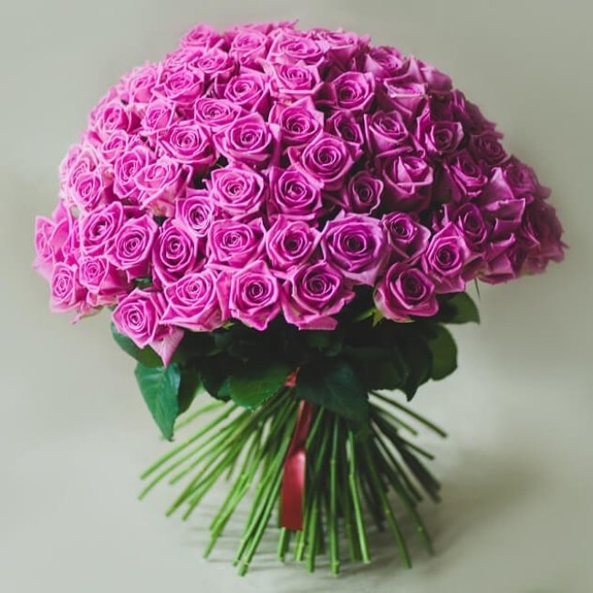 Роза Аква (розовая). Букет из 75 роз. Высота 70 см