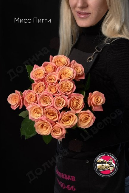 Букет из Розы Мисс Пигги  (высота  50см)