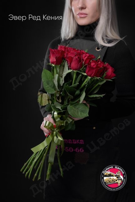 Розы Эвер Ред Кения  (высота  50см)