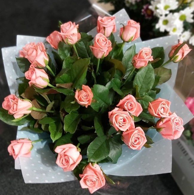 Роза Анна Карина. Букет из 21 розы. Высота 50 см