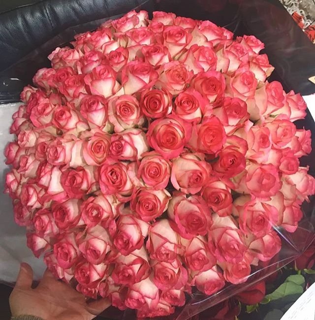 Роза Джумилия. Букет из 201 розы. Высота 60 см