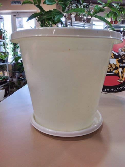 Горшки для цветов. Горшок д/ц Эконом 10л