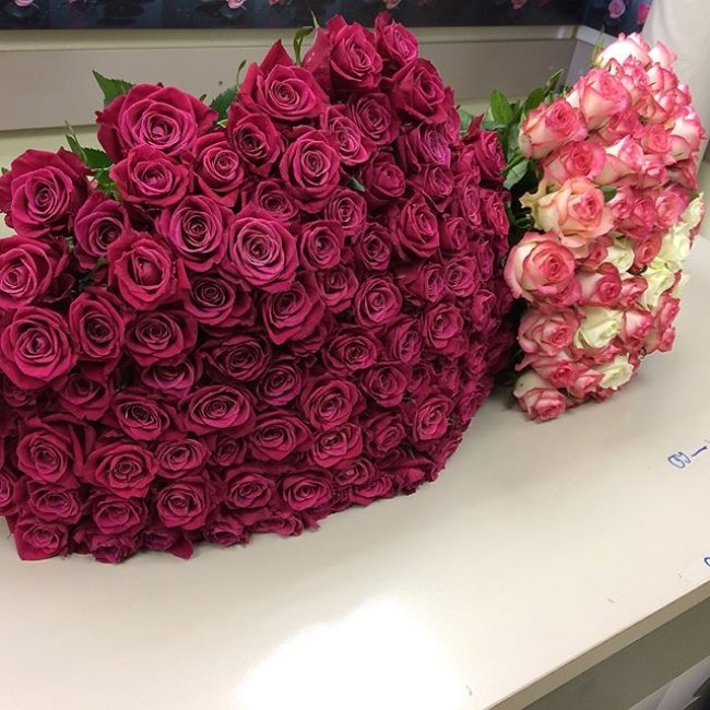 Роза Шангри Ла (розовая). Букет из 75 роз. Высота 50 см