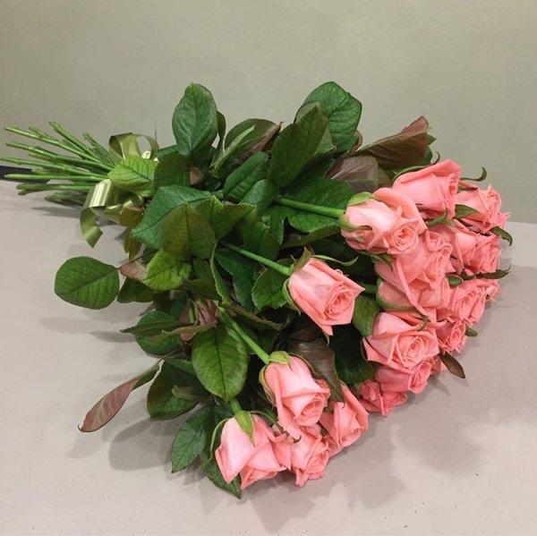 Роза Анна Карина. Букет из 25 роз. Высота 60 см