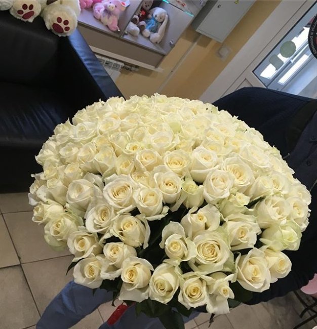 Роза Аваланж (белая). Букет из 101 розы. Высота 50 см