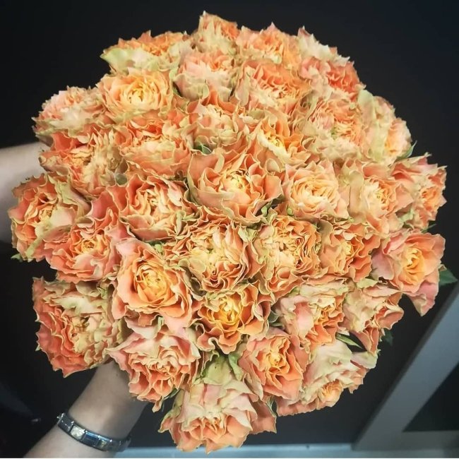 Роза Кантри спирит Луиза. Букет из 35 роз. Высота 40 см