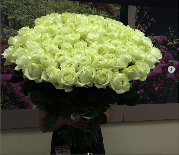 Роза Аваланж (белая). Букет из 201 розы. Высота 60 см