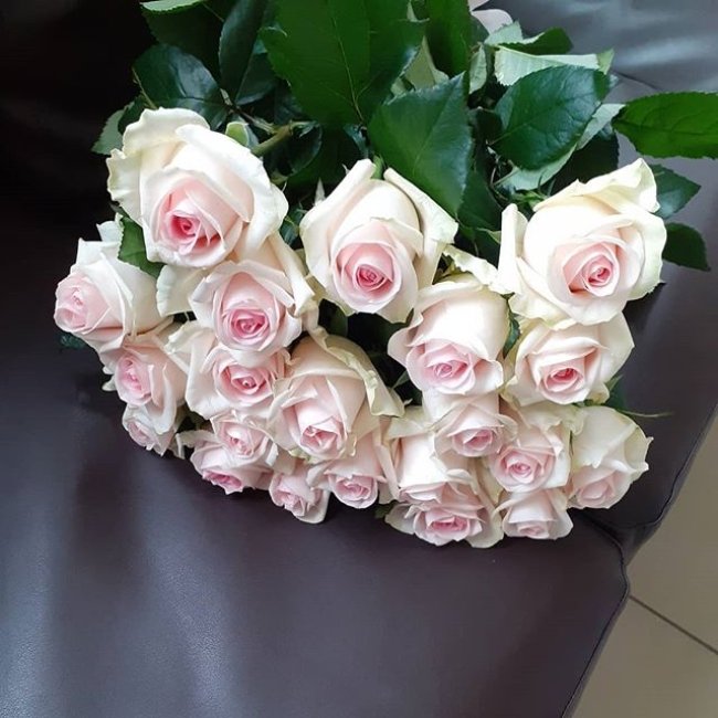 Роза Свит Ревиваль. Букет из 101 розы. Высота 70 см