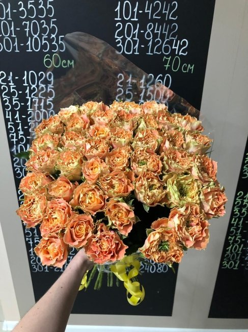 Роза Кантри спирит Луиза. Букет из 75 роз. Высота 50 см