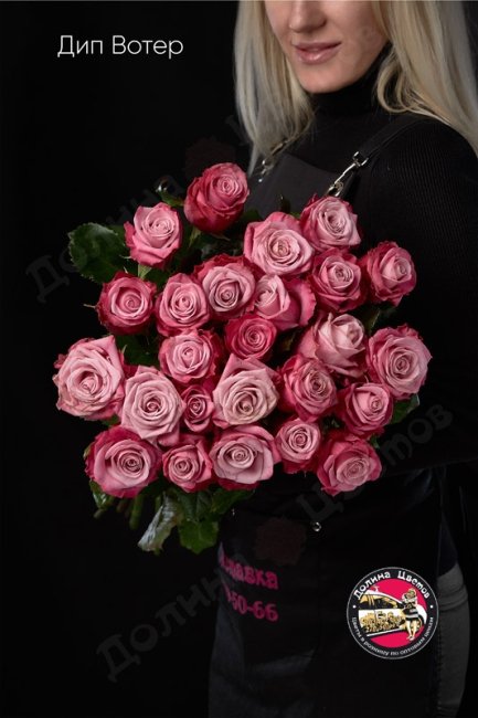 Букет из Розы Дип Вотер  (высота  40см)