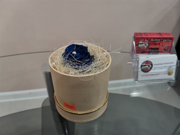 Роза синяя в круглой коробке