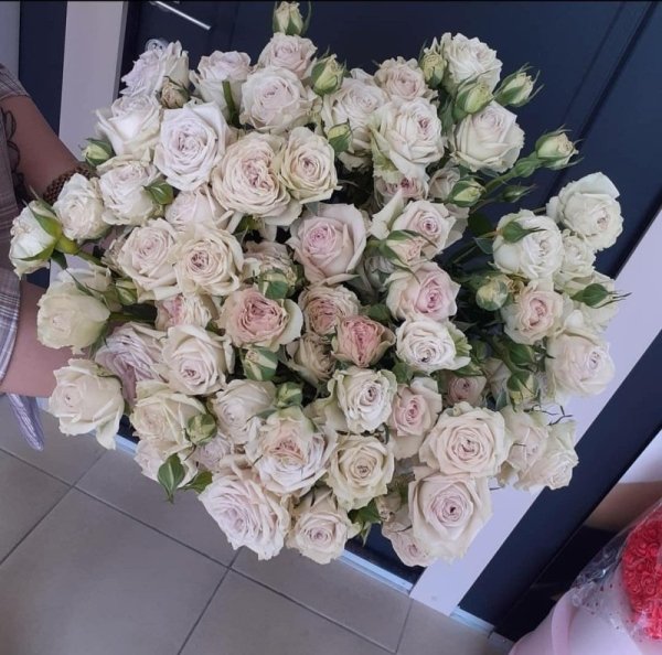 Букет из Розы Спрей Сильвер Рейн  (высота  50 см)