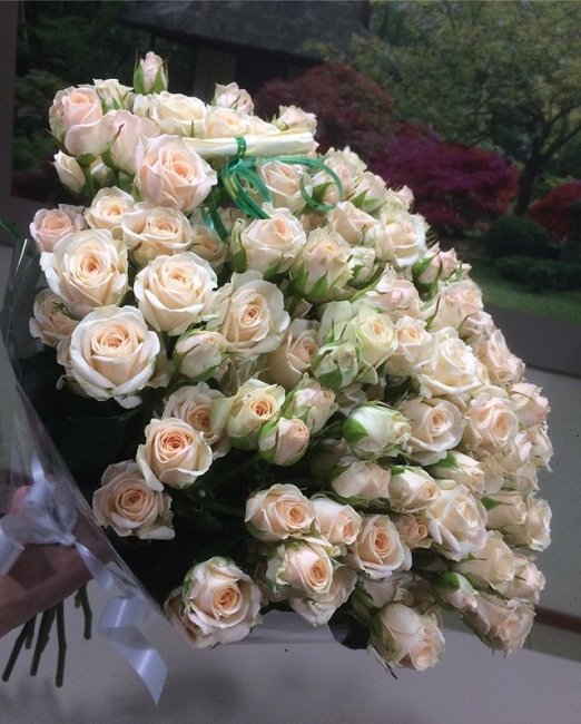 Букет из Розы Яна  (высота  40 см)